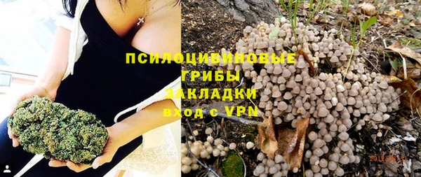 MDMA Premium VHQ Вяземский